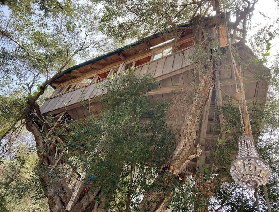 Margaritis'S Treehouse Villa Paramonas  Екстериор снимка